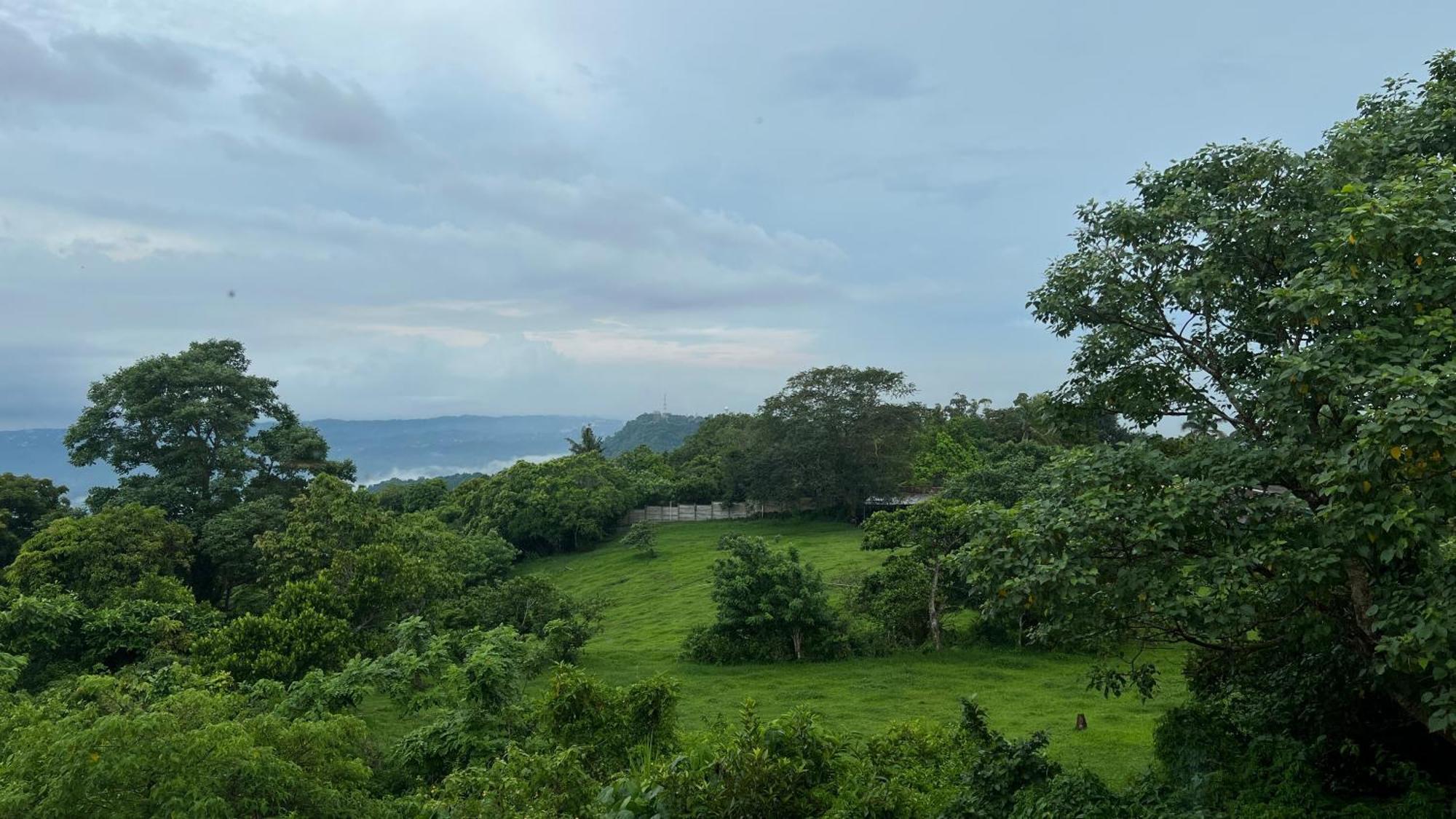 Taal Vista Hotel Tagaytay City Eksteriør billede View of the lake from the top of the hill